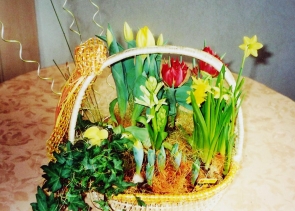 17.02.08-Blumen von Ramona,Heidi, Edith-mini02