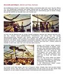 2006-12-03-Erlbach-mini1