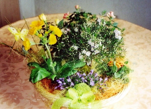 17.02.08-Blumen vom Fanclub-mini02